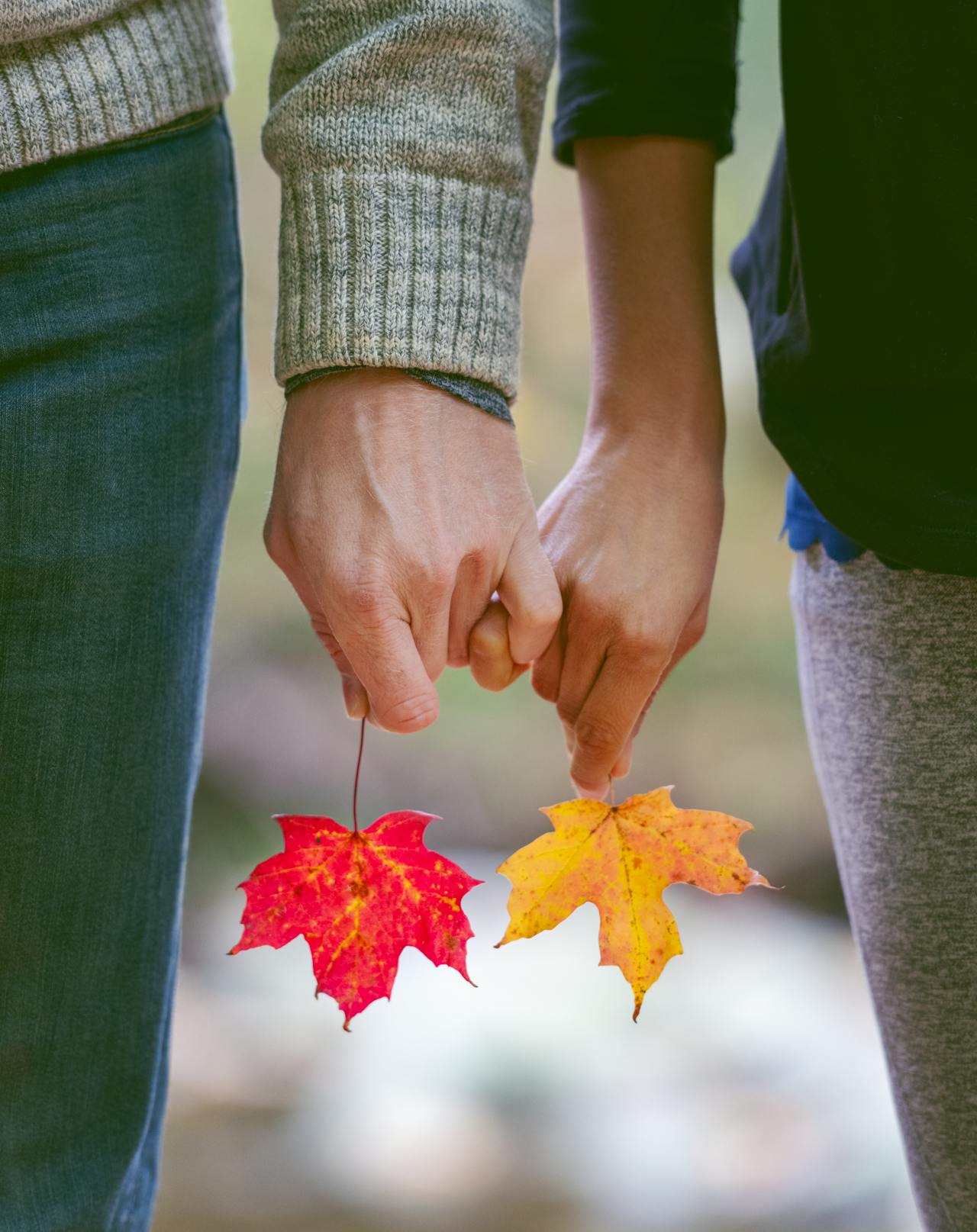 Photo of two hands holding autumn leaves