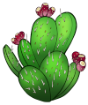 Cactus Counselling logo: prickly pear